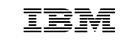 IBM IBM